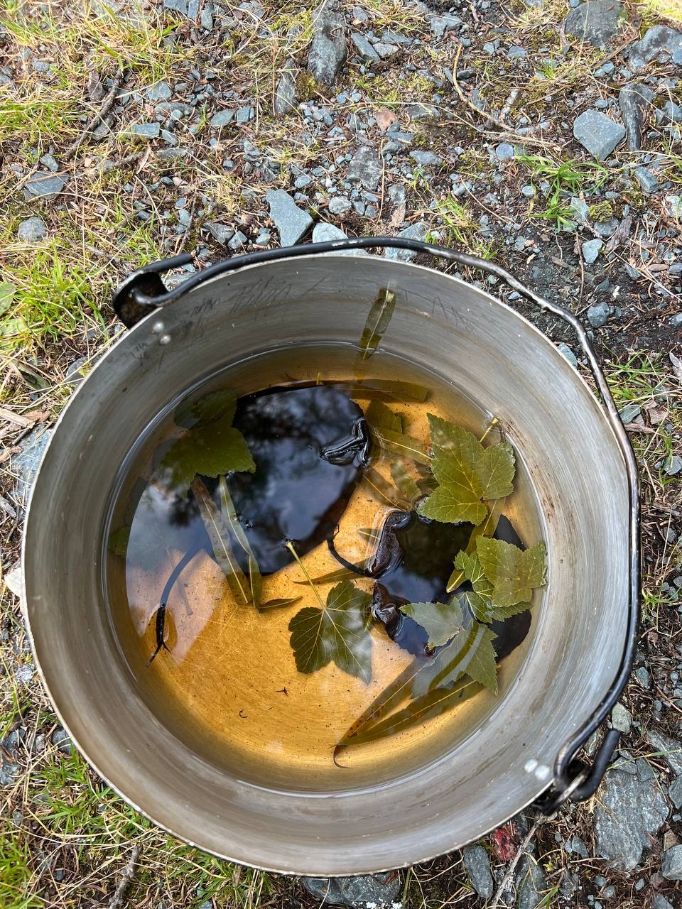 Тюнгур - фото 112