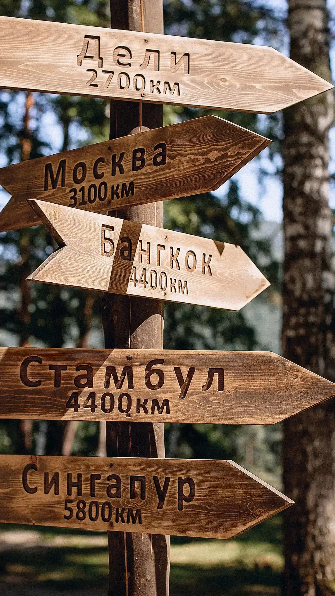 Империя Туризма - фото 22