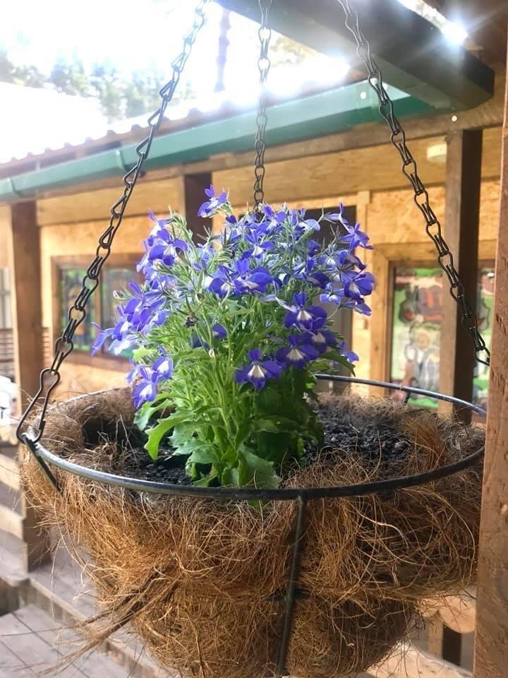 Чечек - фото 14