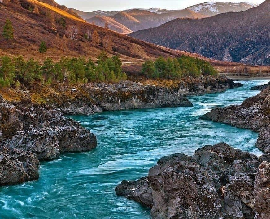 Чечек - фото 15