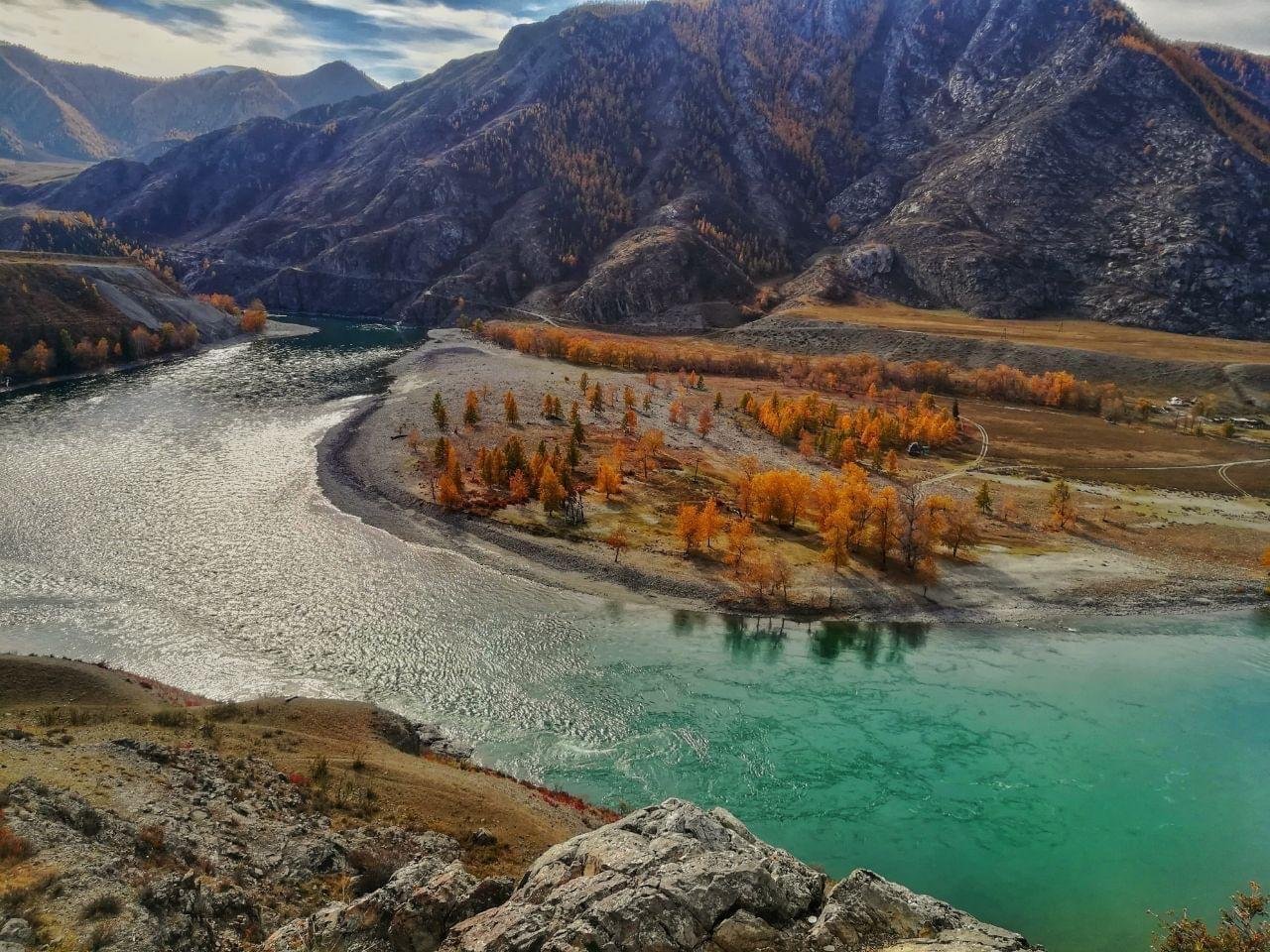 Чечек - фото 16
