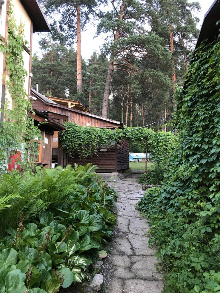 Чечек - фото 35