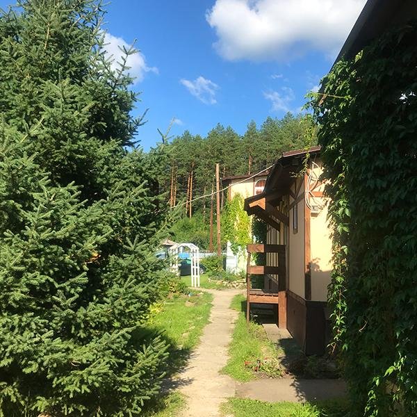 Чечек - фото 38