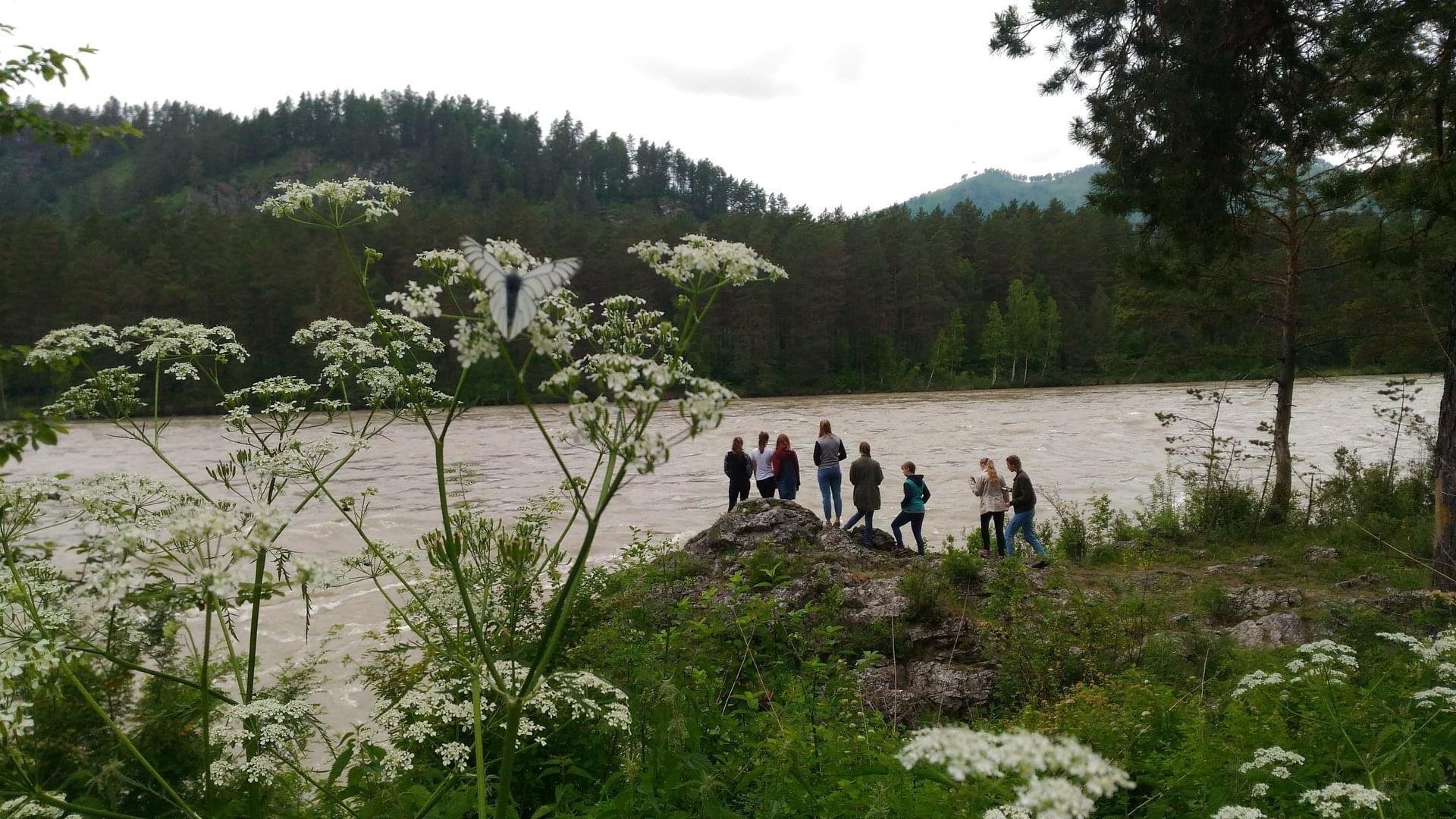 Чечек - фото 47