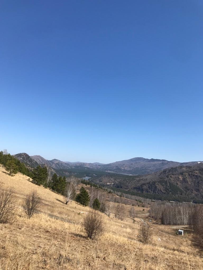 Чечек - фото 53