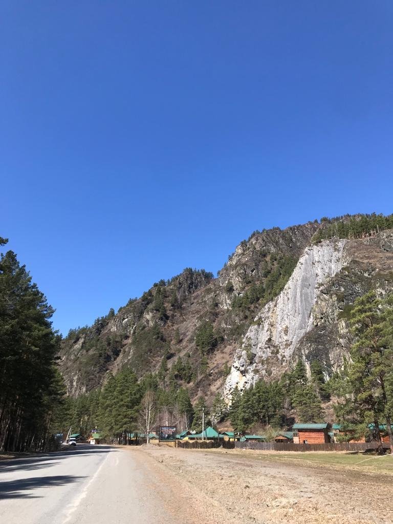 Чечек - фото 57