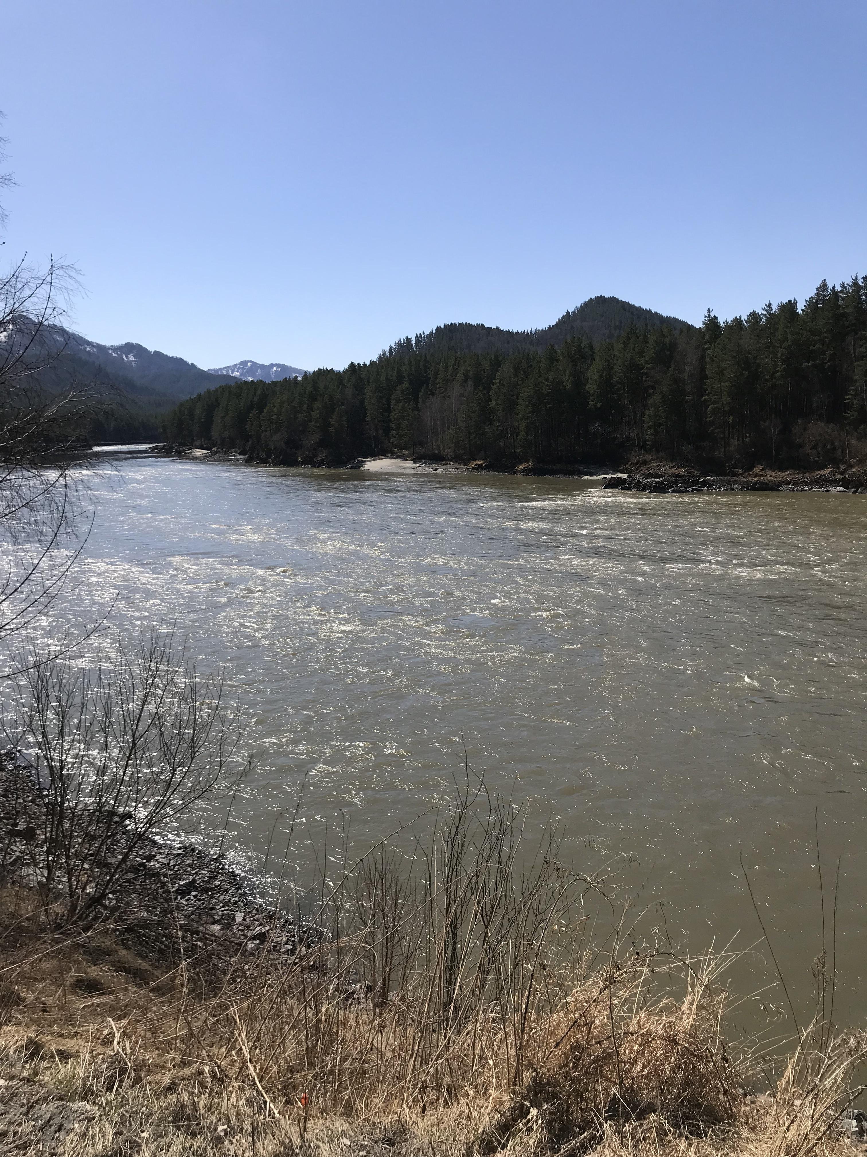 Чечек - фото 64