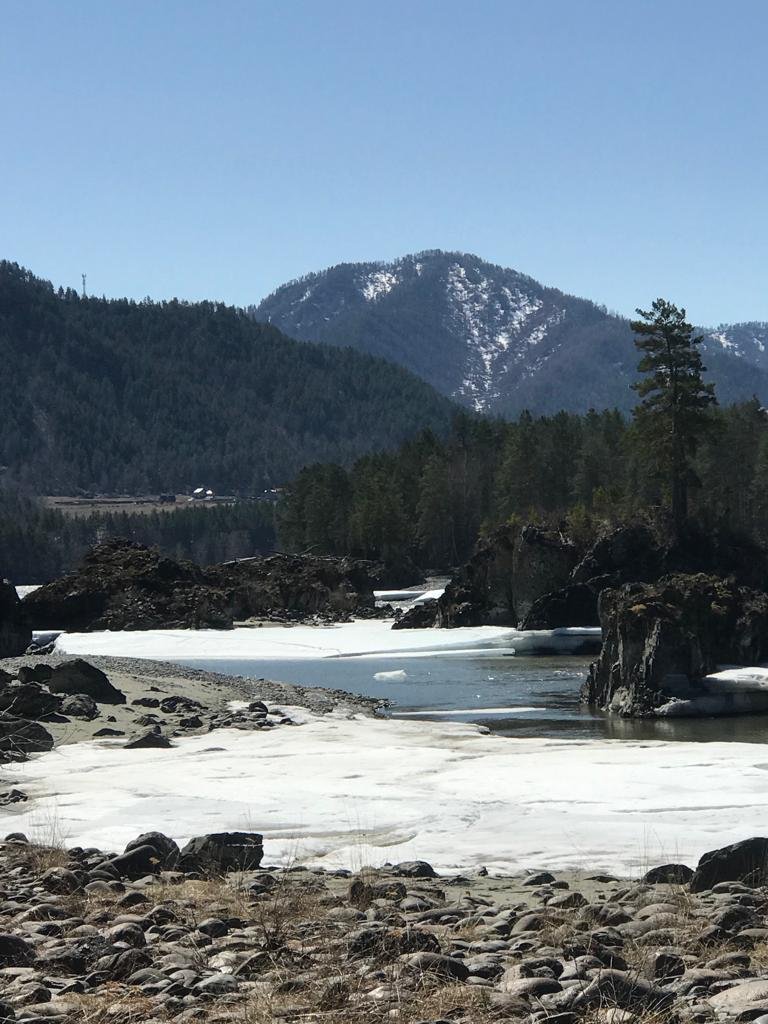 Чечек - фото 69