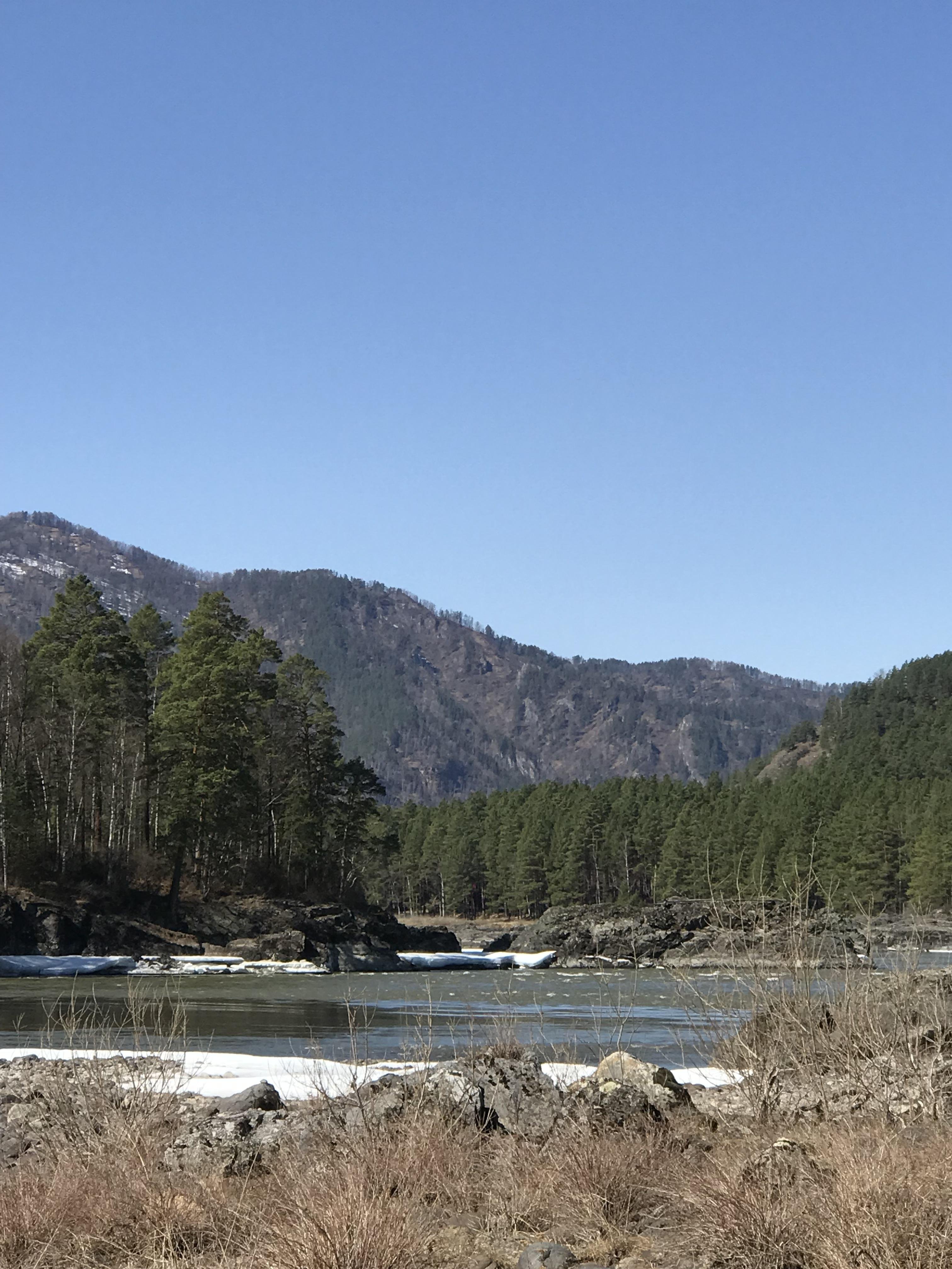 Чечек - фото 70
