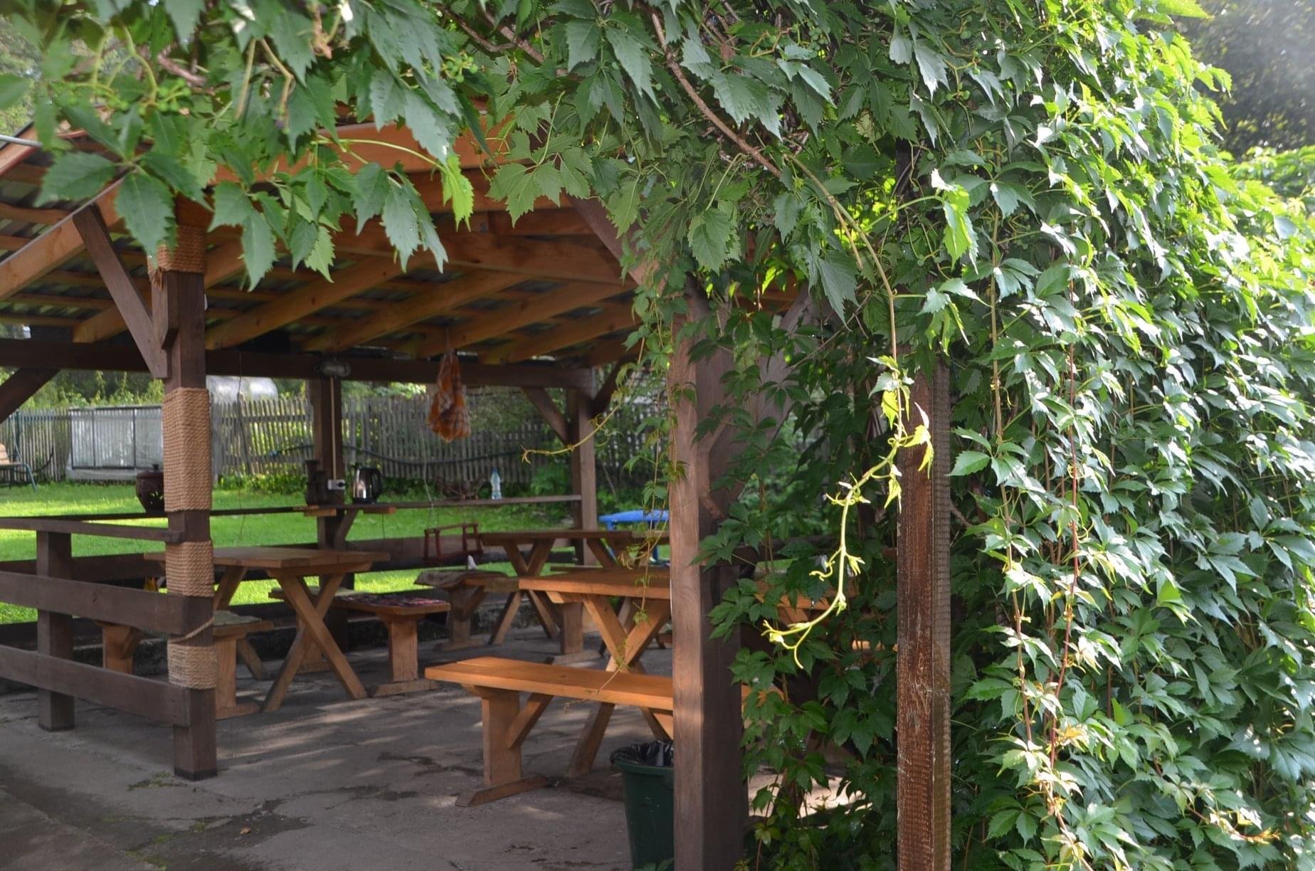 Чечек - фото 75