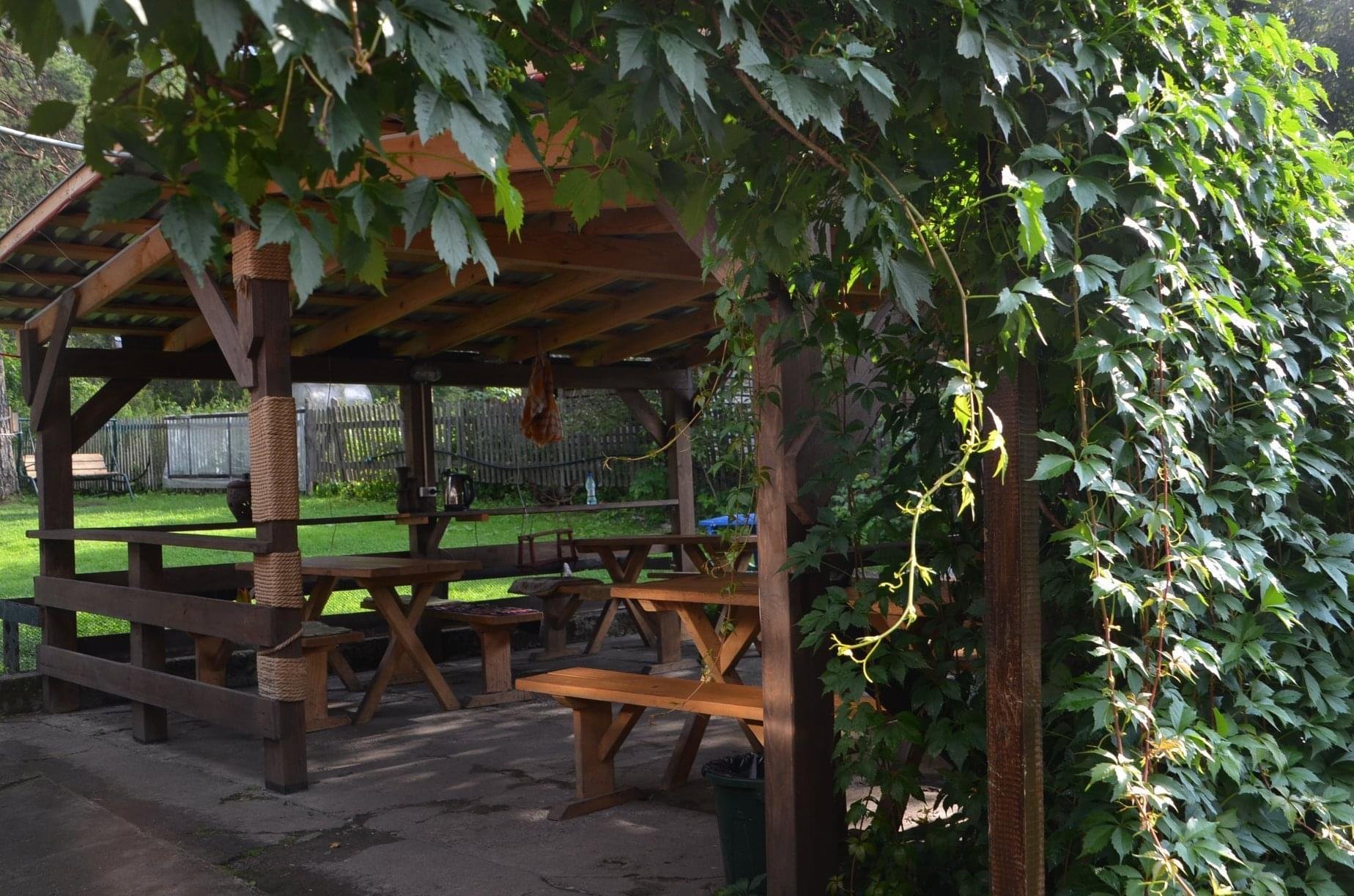 Чечек - фото 88