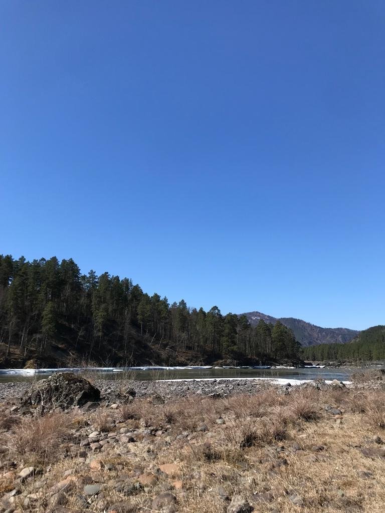 Чечек - фото 93