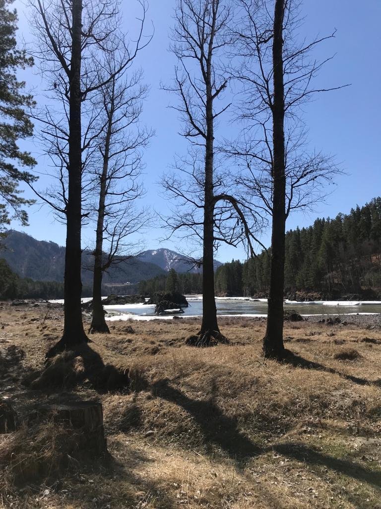 Чечек - фото 95