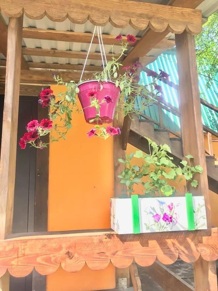 Чечек - фото 115