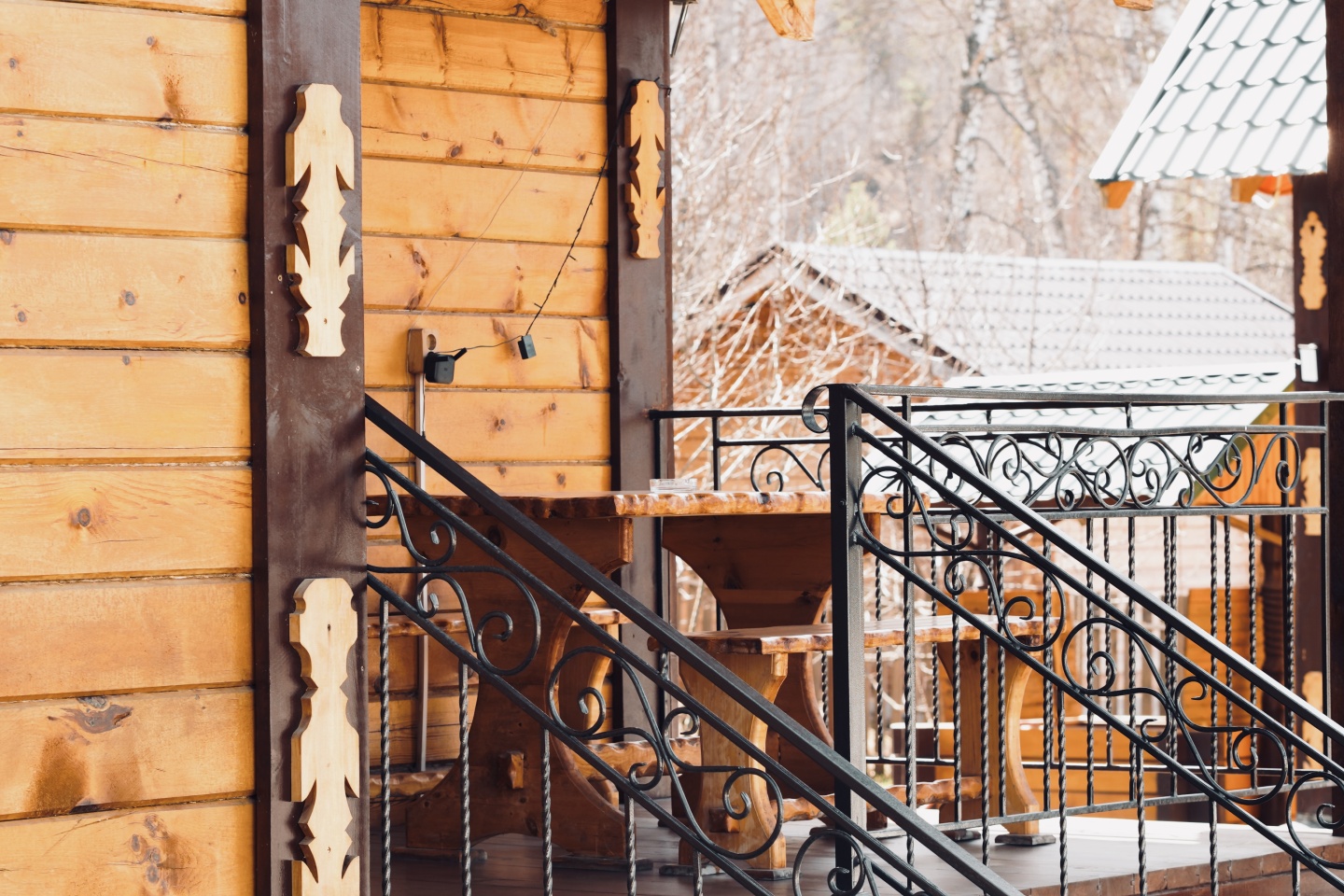 Кедровый рай - фото 6