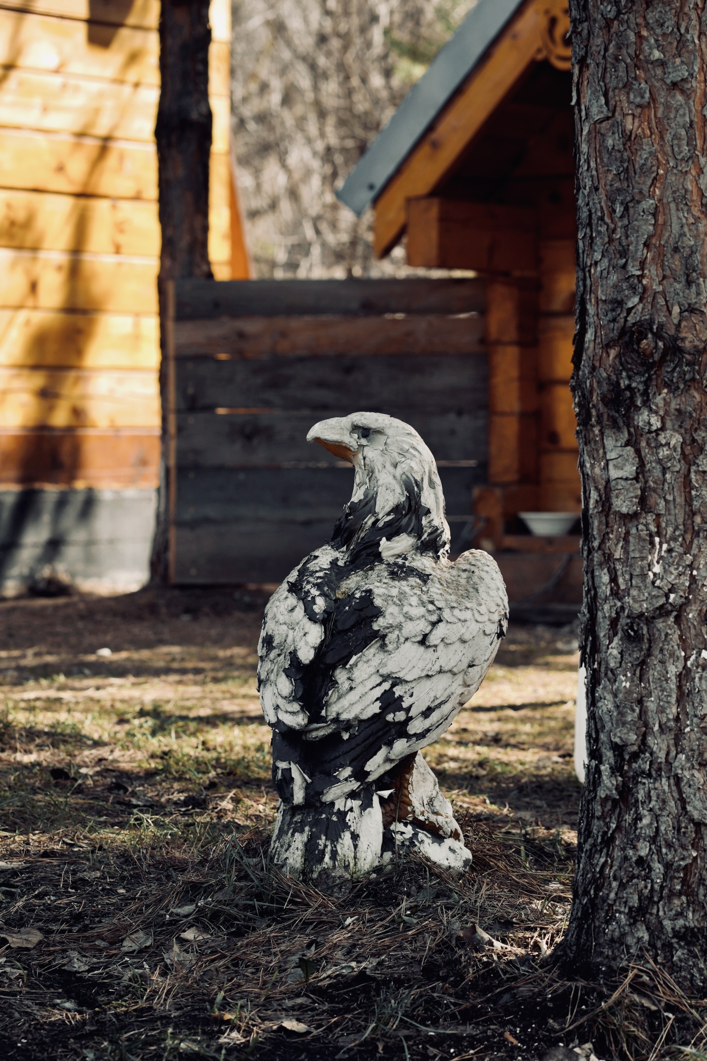 Кедровый рай - фото 13