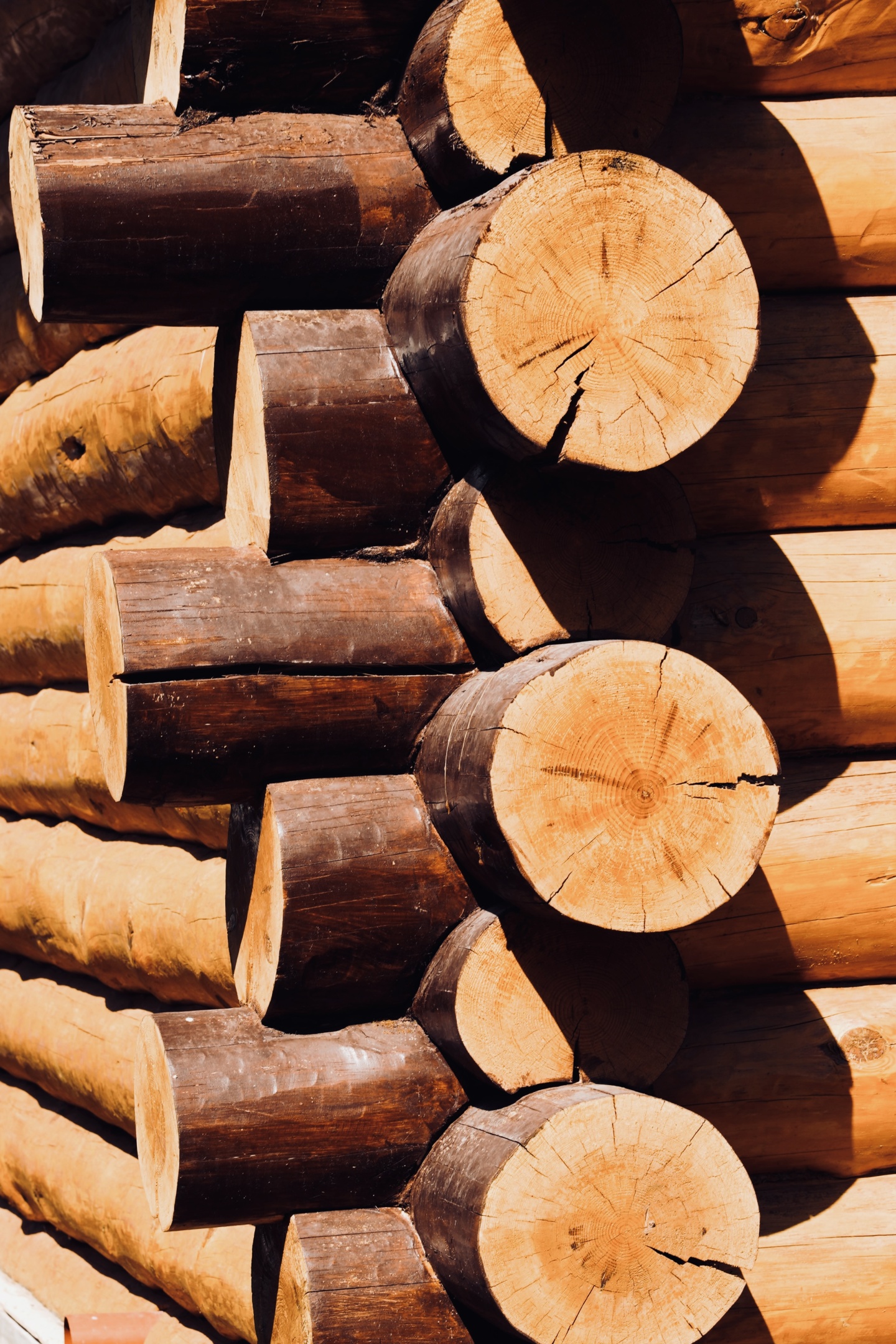 Кедровый рай - фото 15