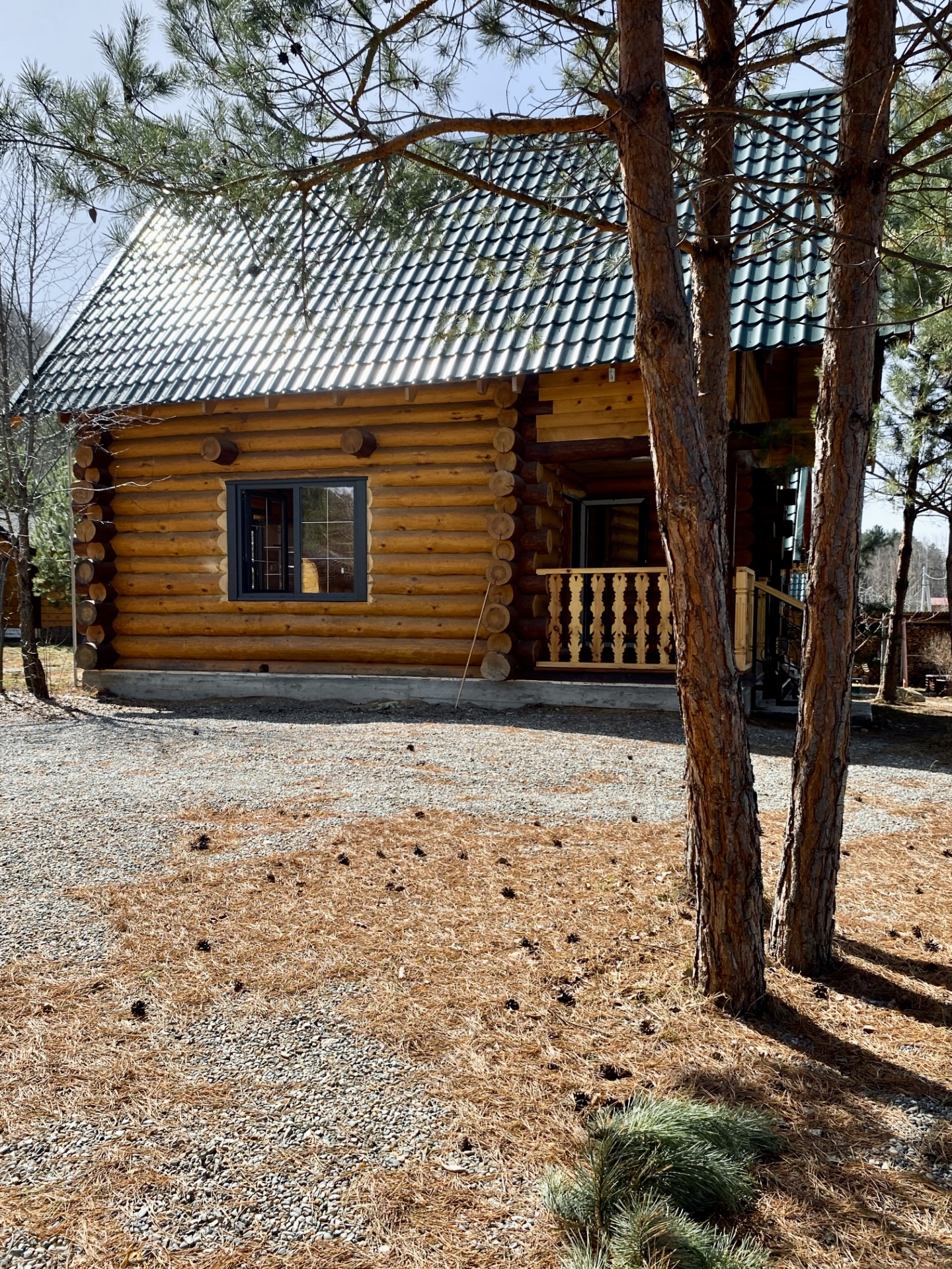 Кедровый рай - фото 23