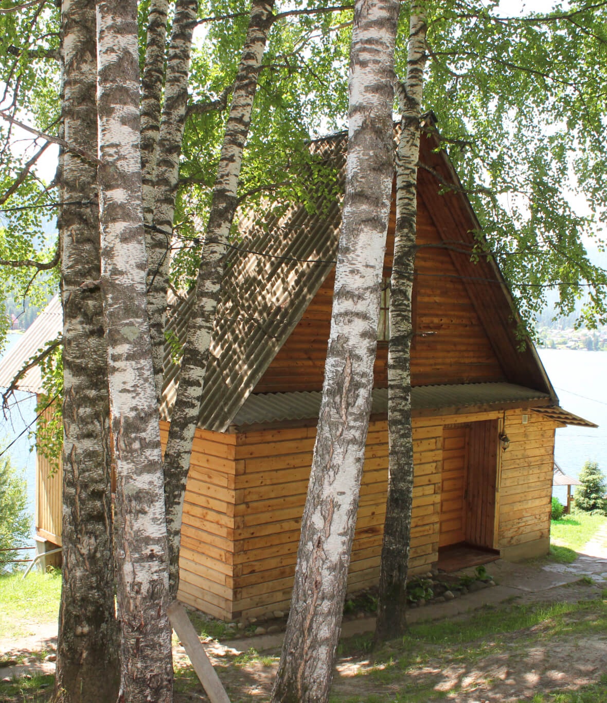 Елань - фото 19