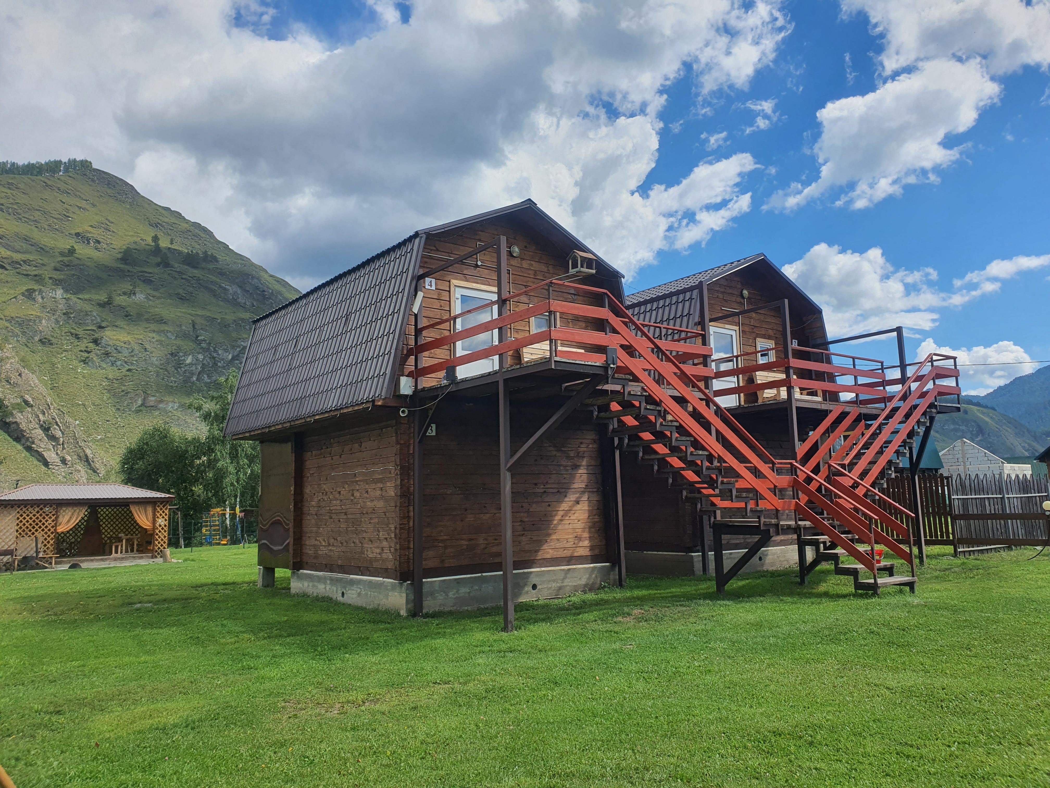 Золотой медведь - фото 1