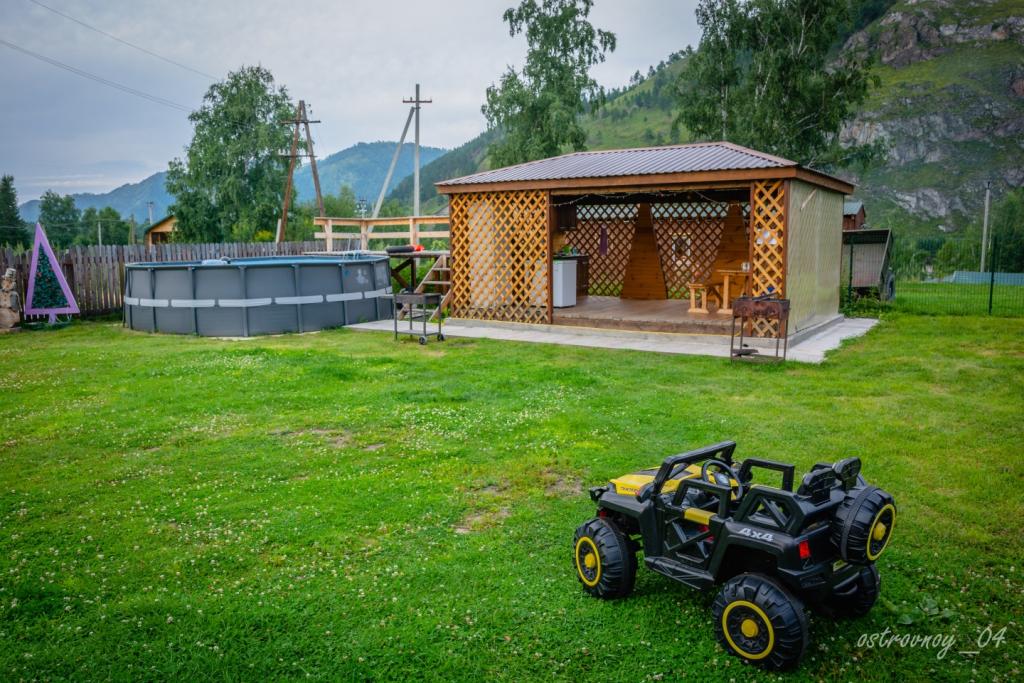 Золотой медведь - фото 5