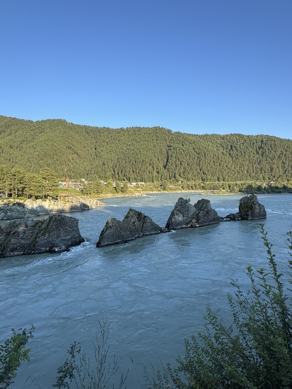 Золотой медведь - фото 10