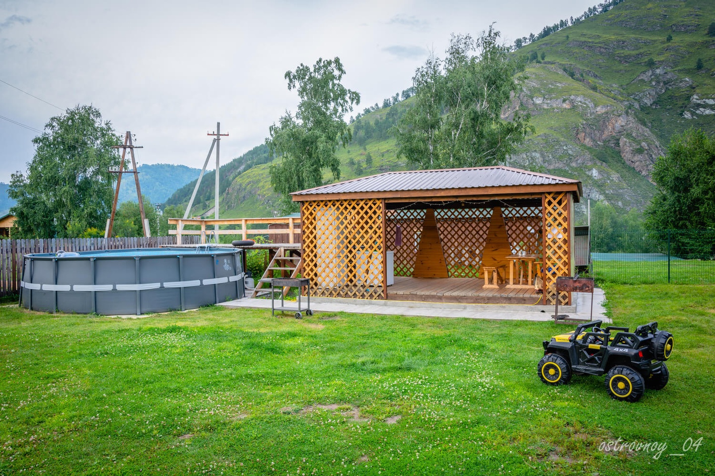 Золотой медведь - фото 12