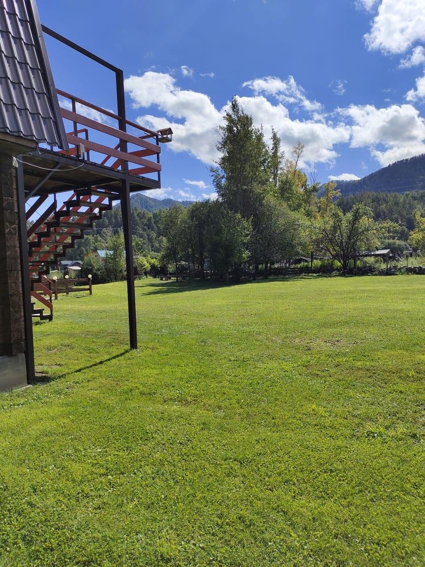 Золотой медведь - фото 14