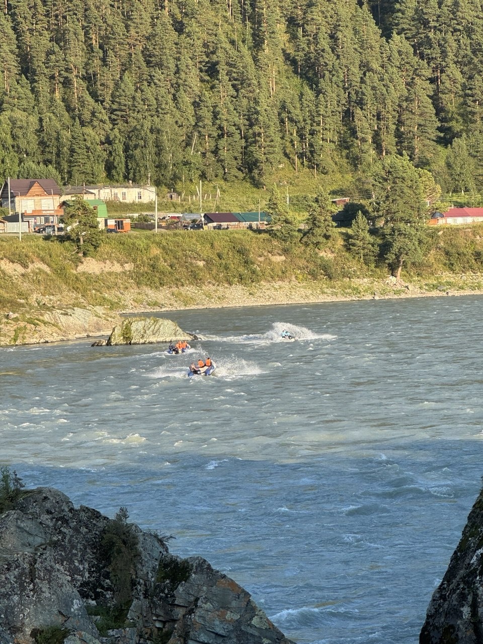 Золотой медведь - фото 20