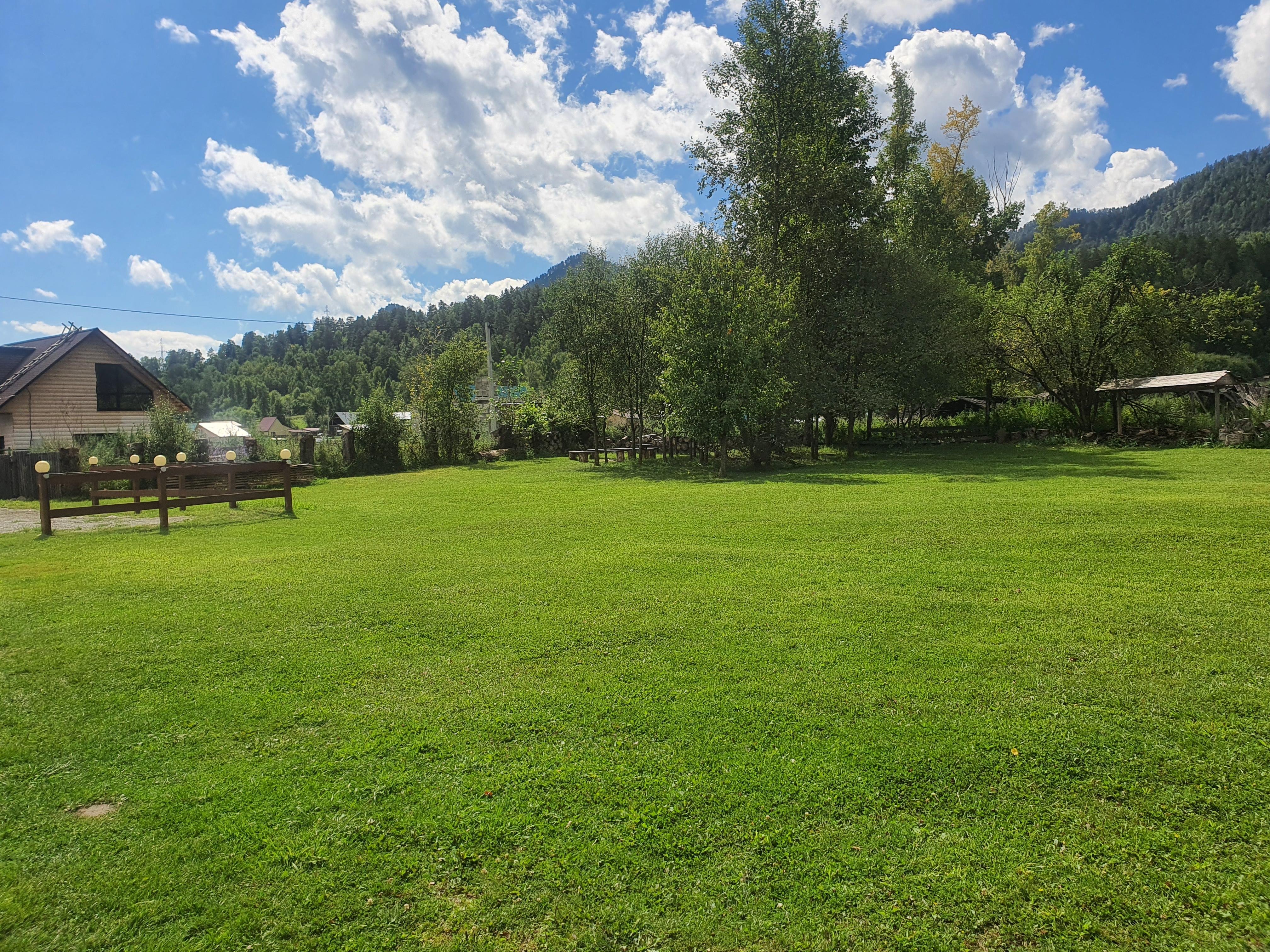 Золотой медведь - фото 22