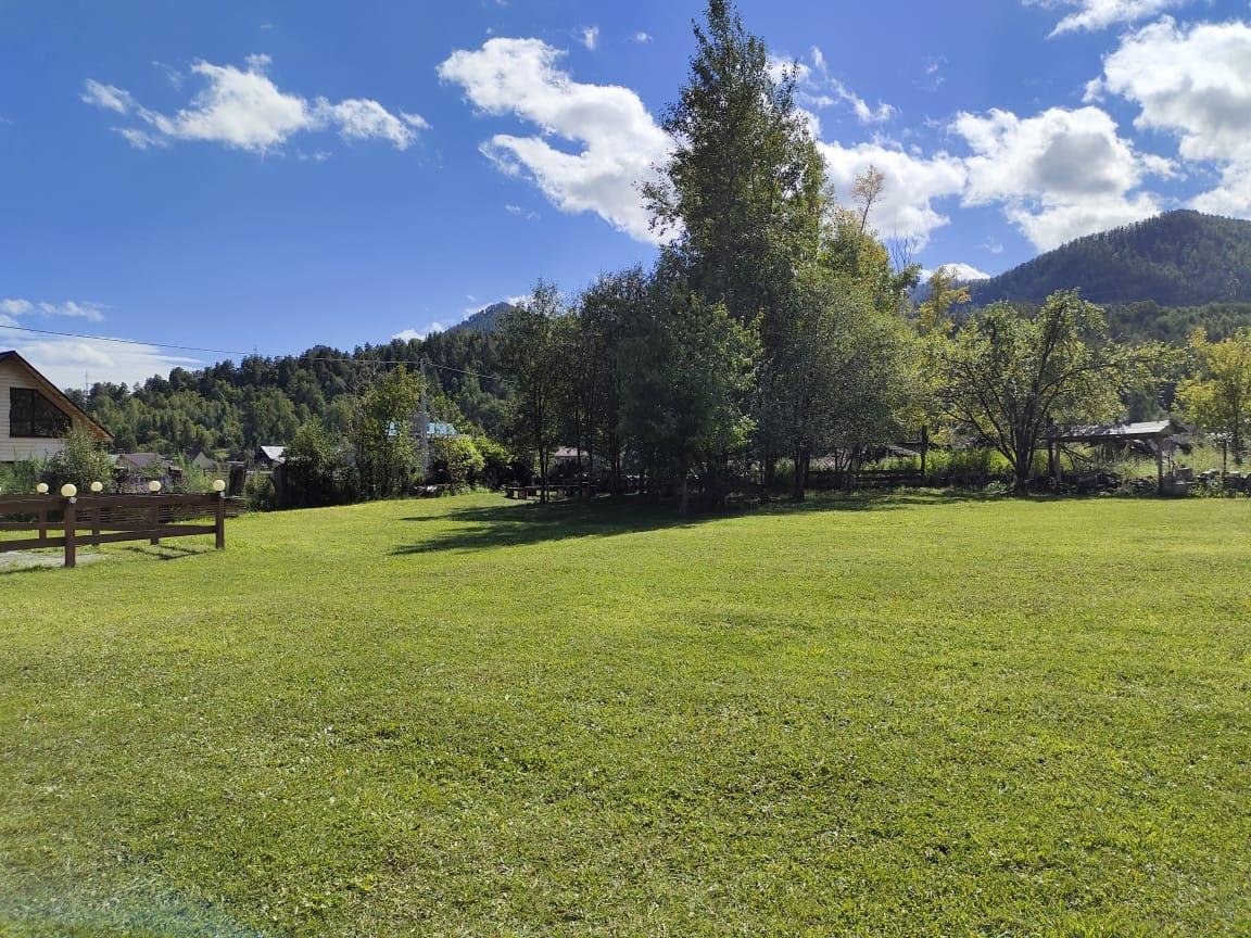 Золотой медведь - фото 24