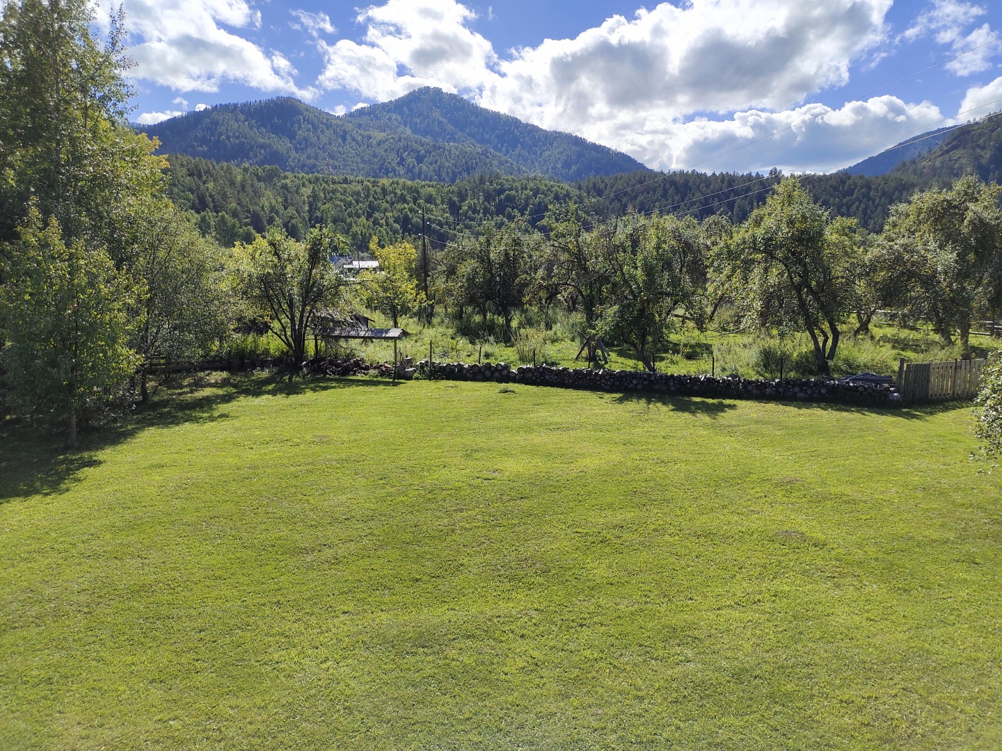 Золотой медведь - фото 25