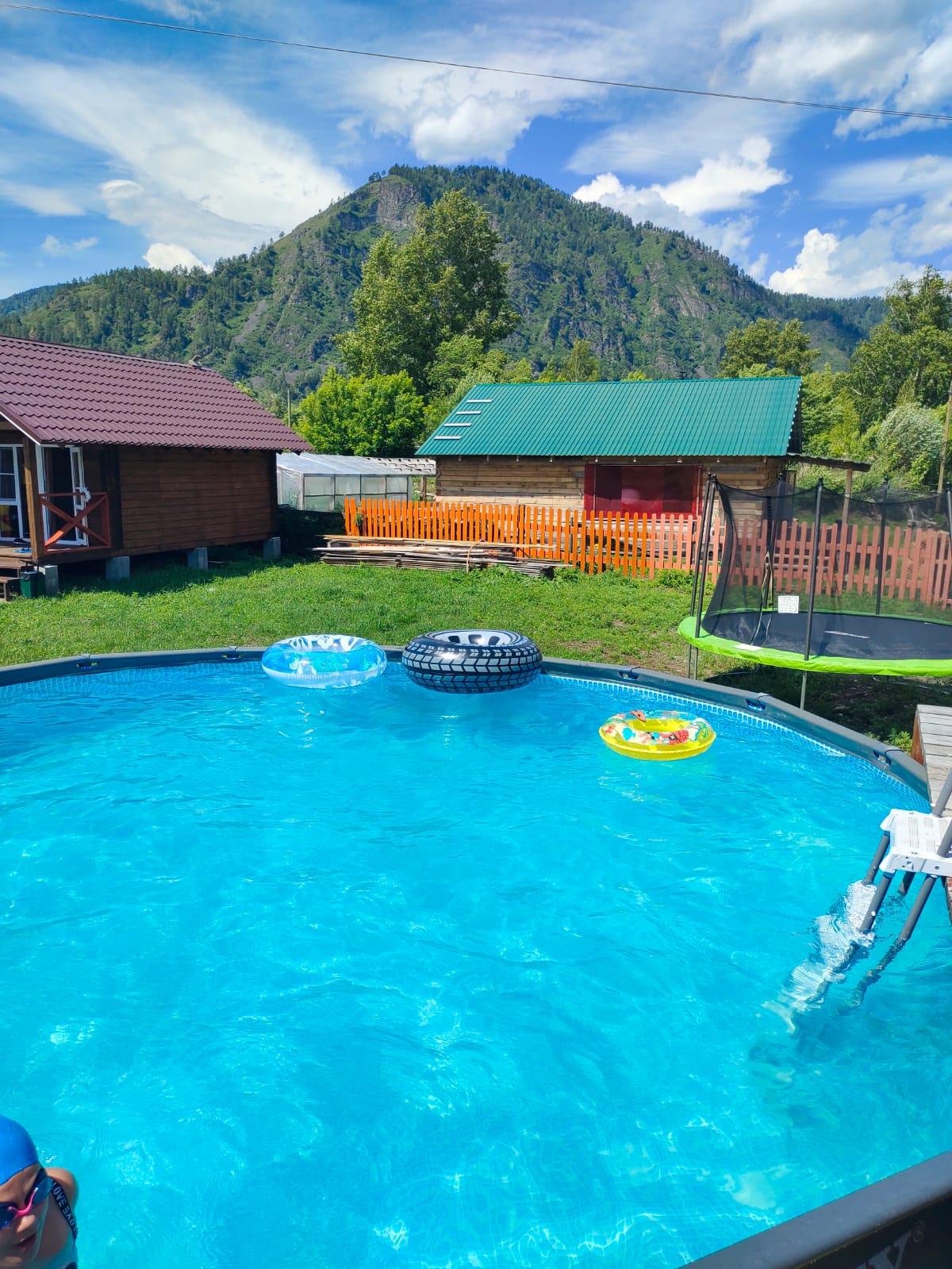 Золотой медведь - фото 26