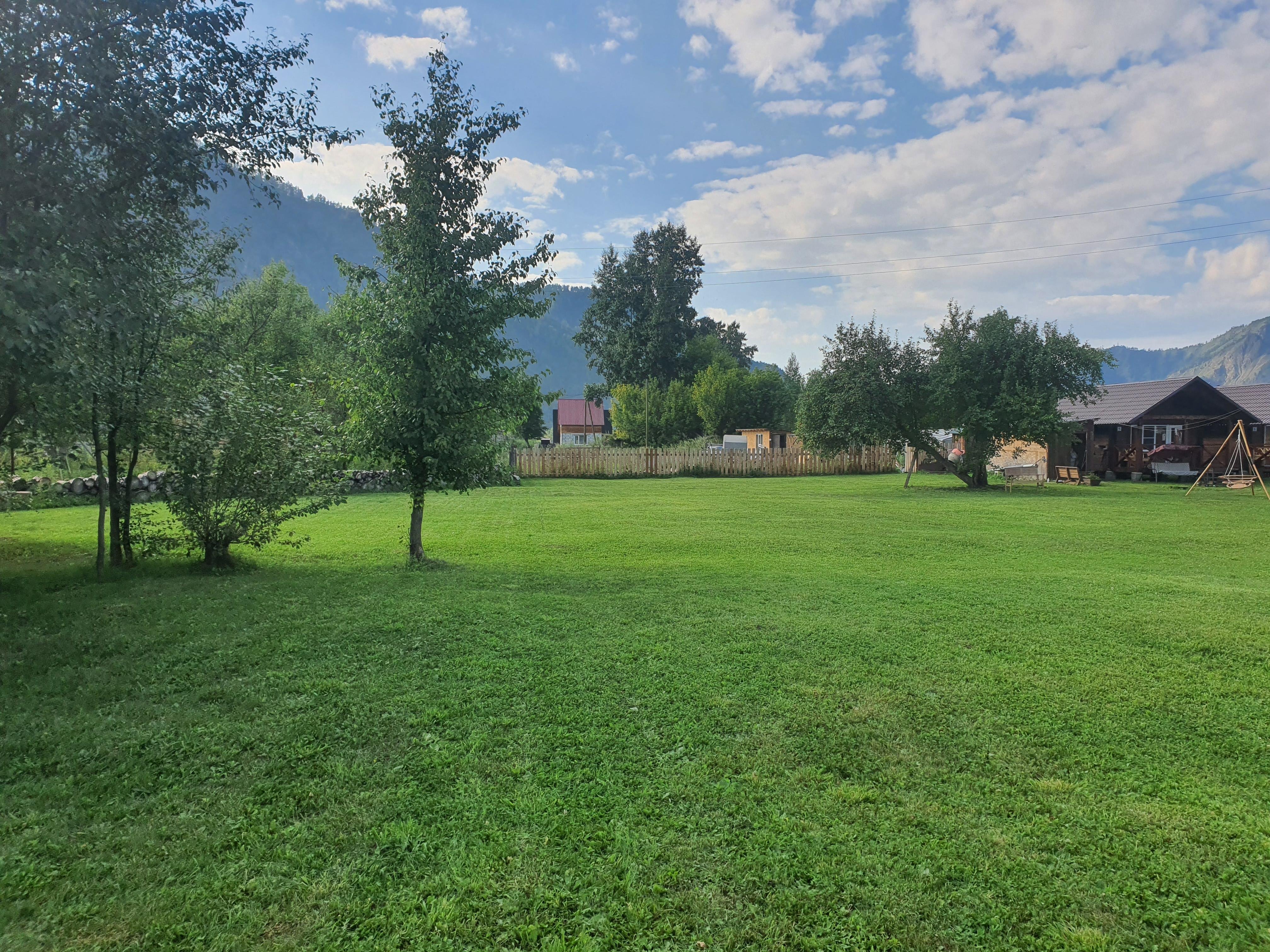 Золотой медведь - фото 32