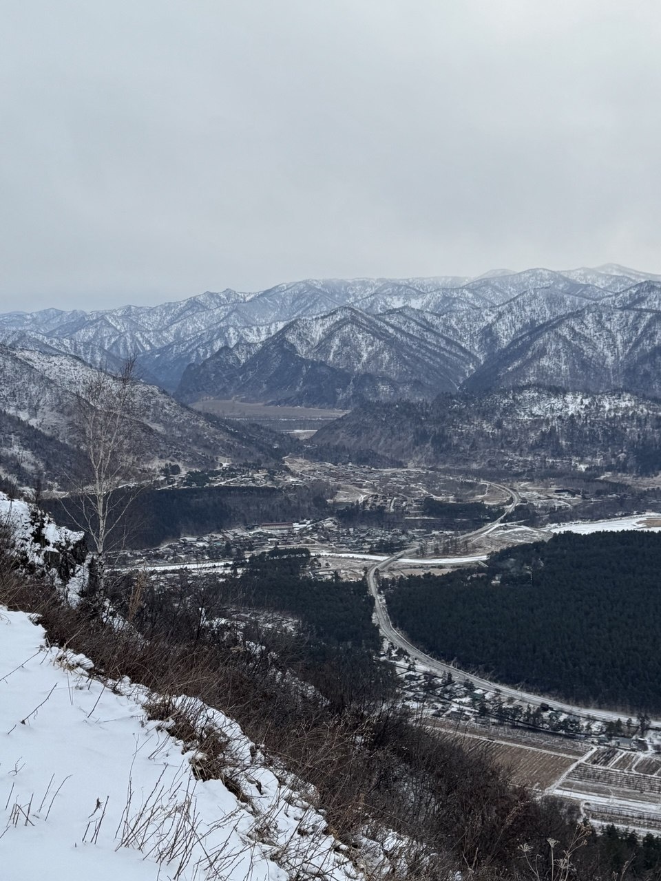 Золотой медведь - фото 47