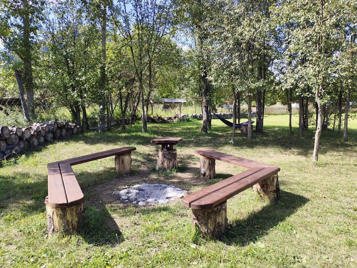 Золотой медведь - фото 51