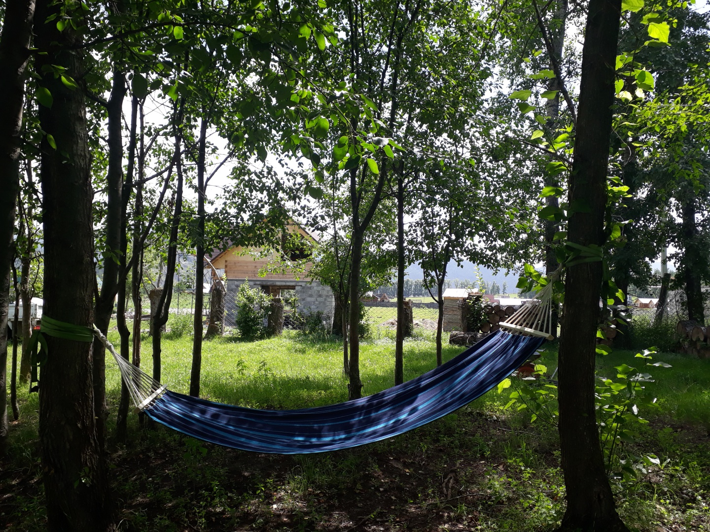 Золотой медведь - фото 53