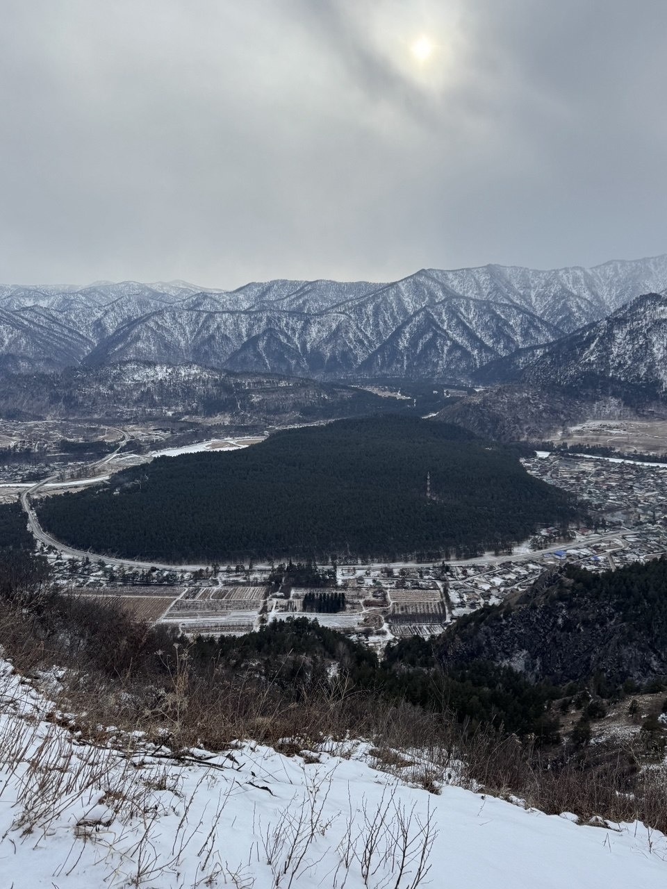 Золотой медведь - фото 54