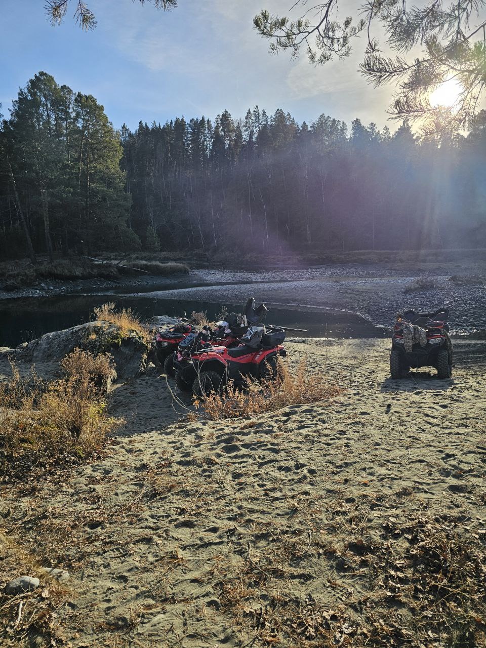 Золотой медведь - фото 57