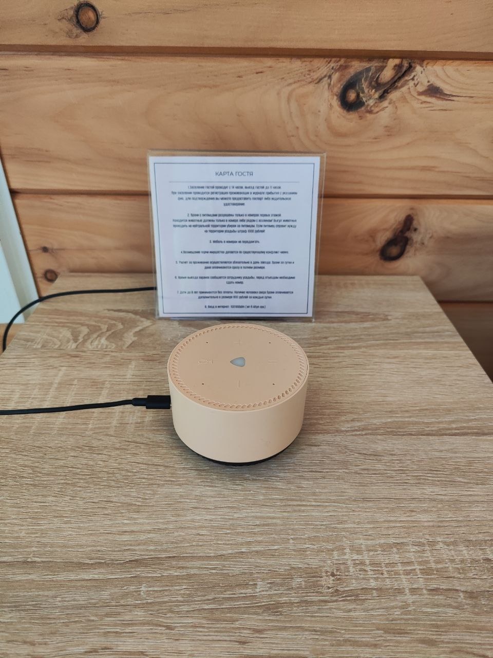 Золотой медведь - фото 60