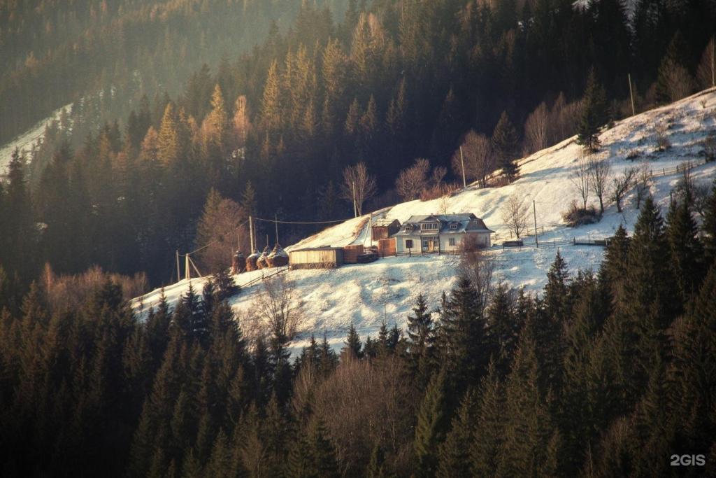 Иткая - фото 5