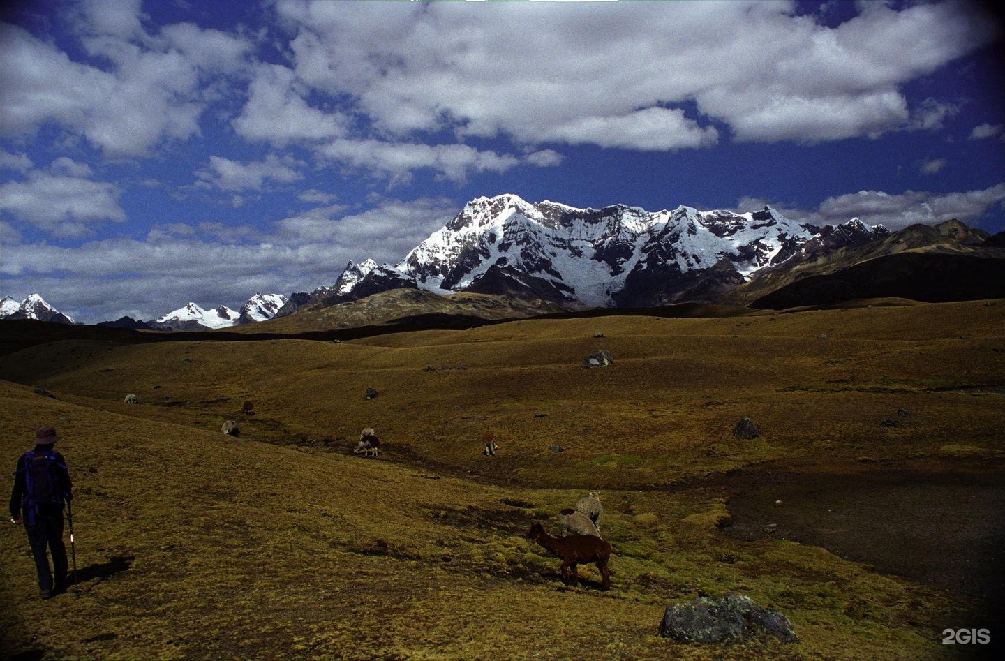 Иткая - фото 8