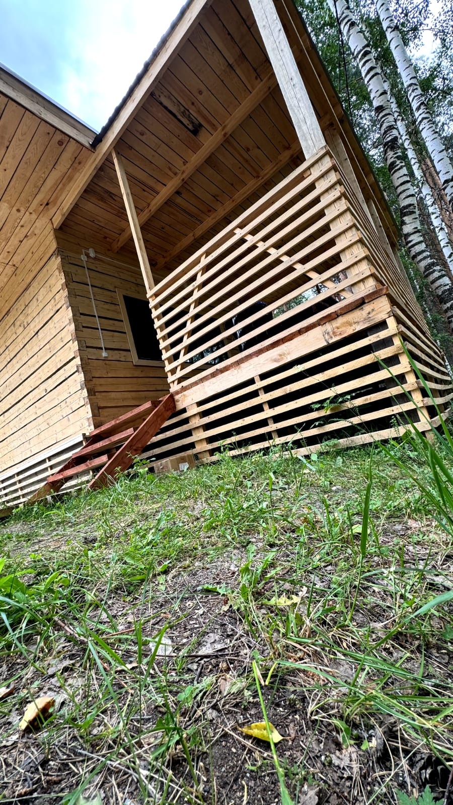 Кедровый Лафет - фото 16