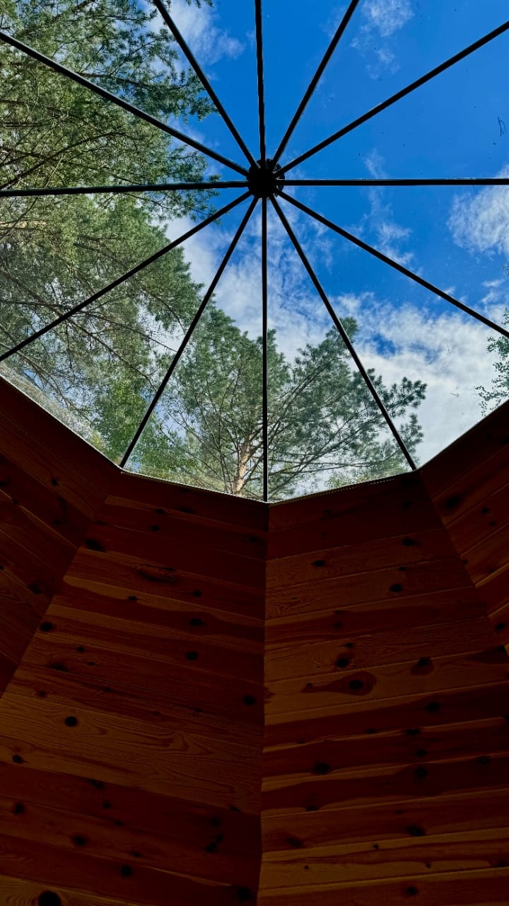 Дом-Сфера стандарт - фото 2