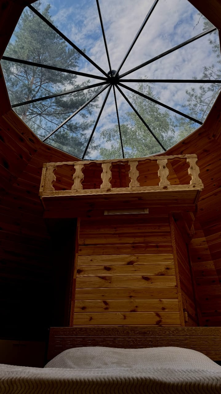 Дом-Сфера стандарт - фото 9