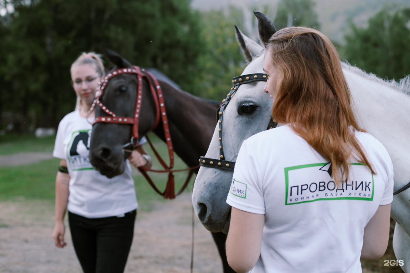 Иткая - фото 21