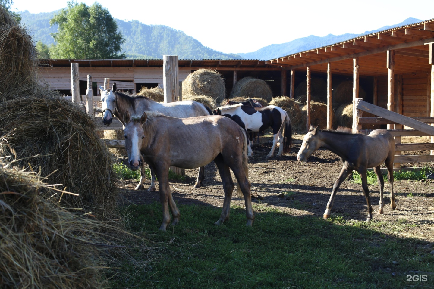Иткая - фото 24