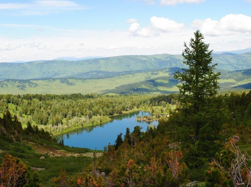 Уймонская Жемчужина - фото 31