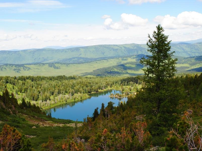 Уймонская Жемчужина - фото 35