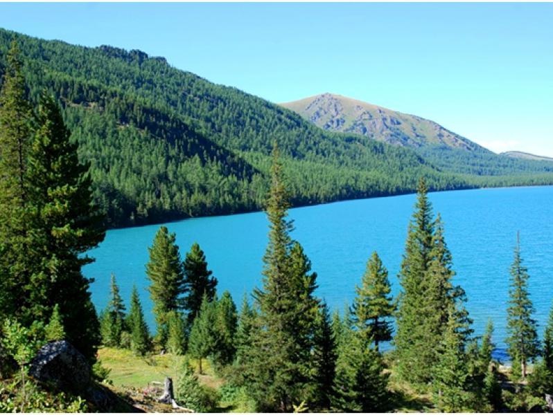 Уймонская Жемчужина - фото 38